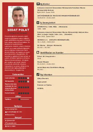 Maden Mühendisi Cv Örnekleri cv indir